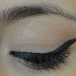 Dica de Maquiagem Inspiração Animale SPFW Inverno 2011