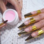 Unhas de Gel - Moldadas Passo a Passo Manual Bela e Simples